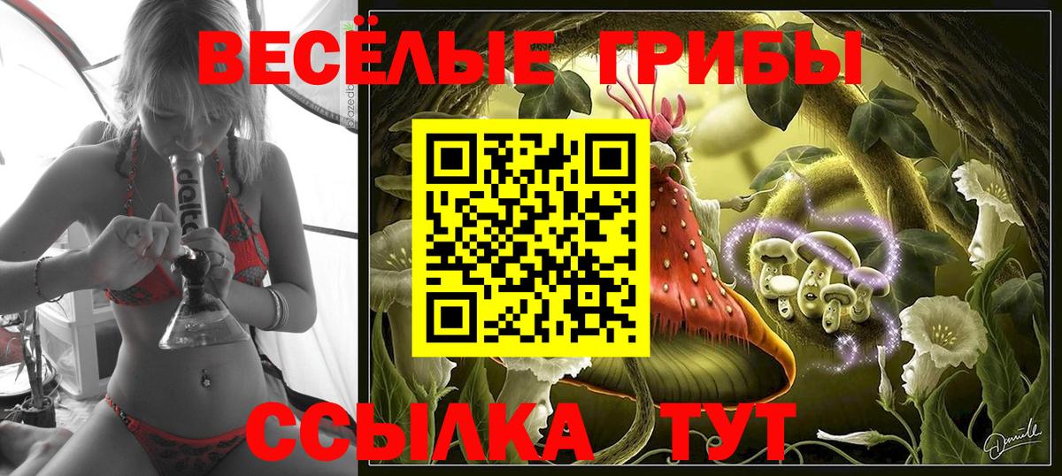Галлюциногенные грибы Magic Shrooms Калуга